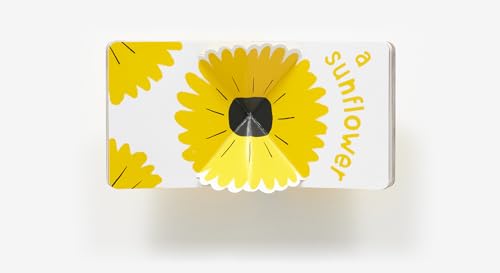 Yellow Pop (With 6 Playful Pop-Ups!): A Board Book (Color Pops)