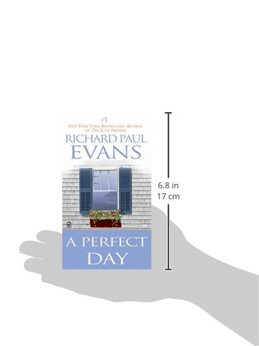 A Perfect Day