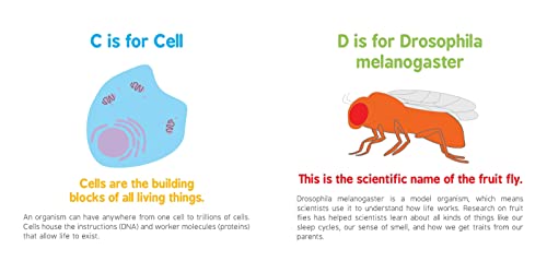 ABCs of Biology: An ABC Board Book of First Biology Words from the #1 Science Au