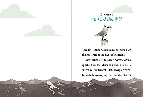 Wind Riders #1: Rescue on Turtle Beach