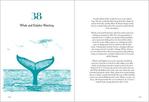 50 Things to Do at the Beach (Explore More)