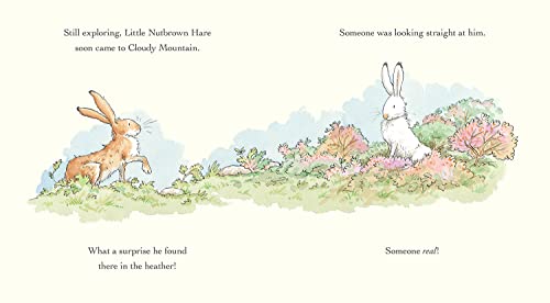 Will You Be My Friend?: (Discover Little Nutbrown Hare's New Friendship in This