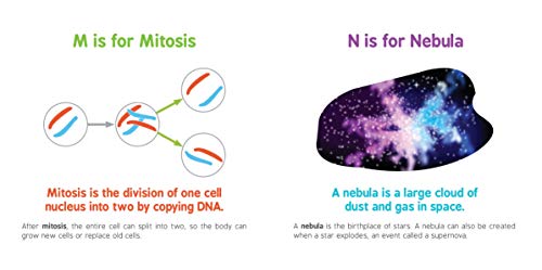 ABCs of Science: The Essential ABC Board Book of First STEM Words from the #1 Sc