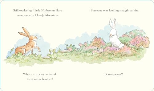 Will You Be My Friend? Padded Board Book: (Discover Little Nutbrown Hare's New F