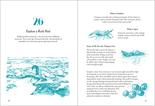 50 Things to Do at the Beach (Explore More)