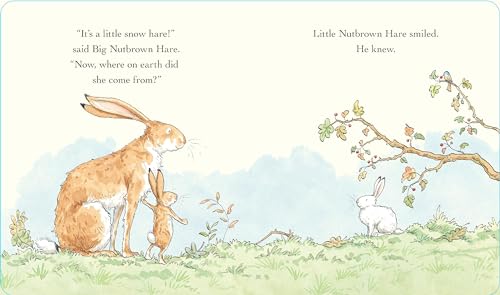 Will You Be My Friend? Padded Board Book: (Discover Little Nutbrown Hare's New F
