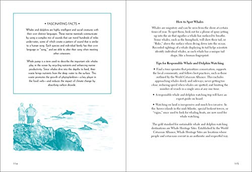 50 Things to Do at the Beach (Explore More)