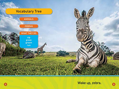 A Zebra's Day (National Geographic Kids Readers, Pre-Reader)