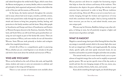 A Little Bit of Wicca: An Introduction to Witchcraft (Little Bit Series)