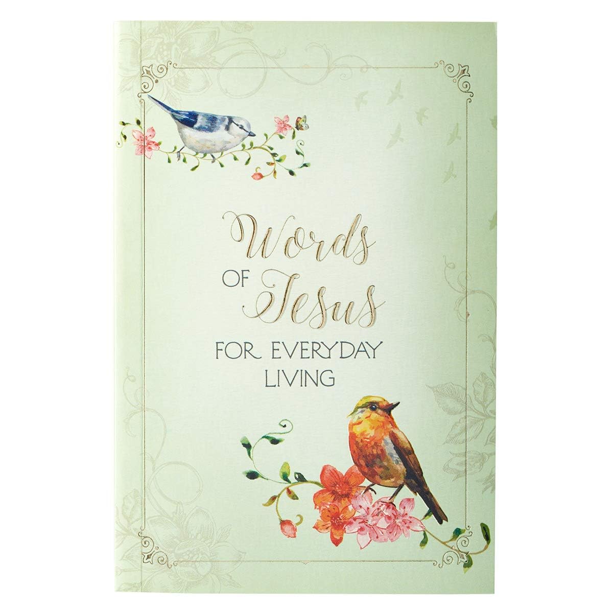 Words of Jesus for Everyday Living Devotional (Words of Faith)