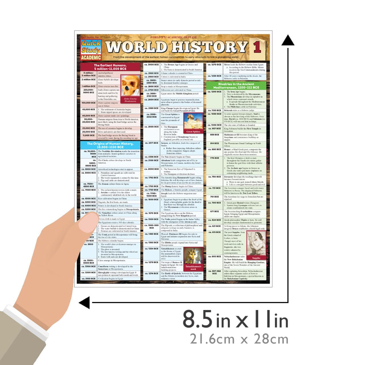 World History 1 QuickStudy Laminated Reference Guide (QuickStudy Academic)