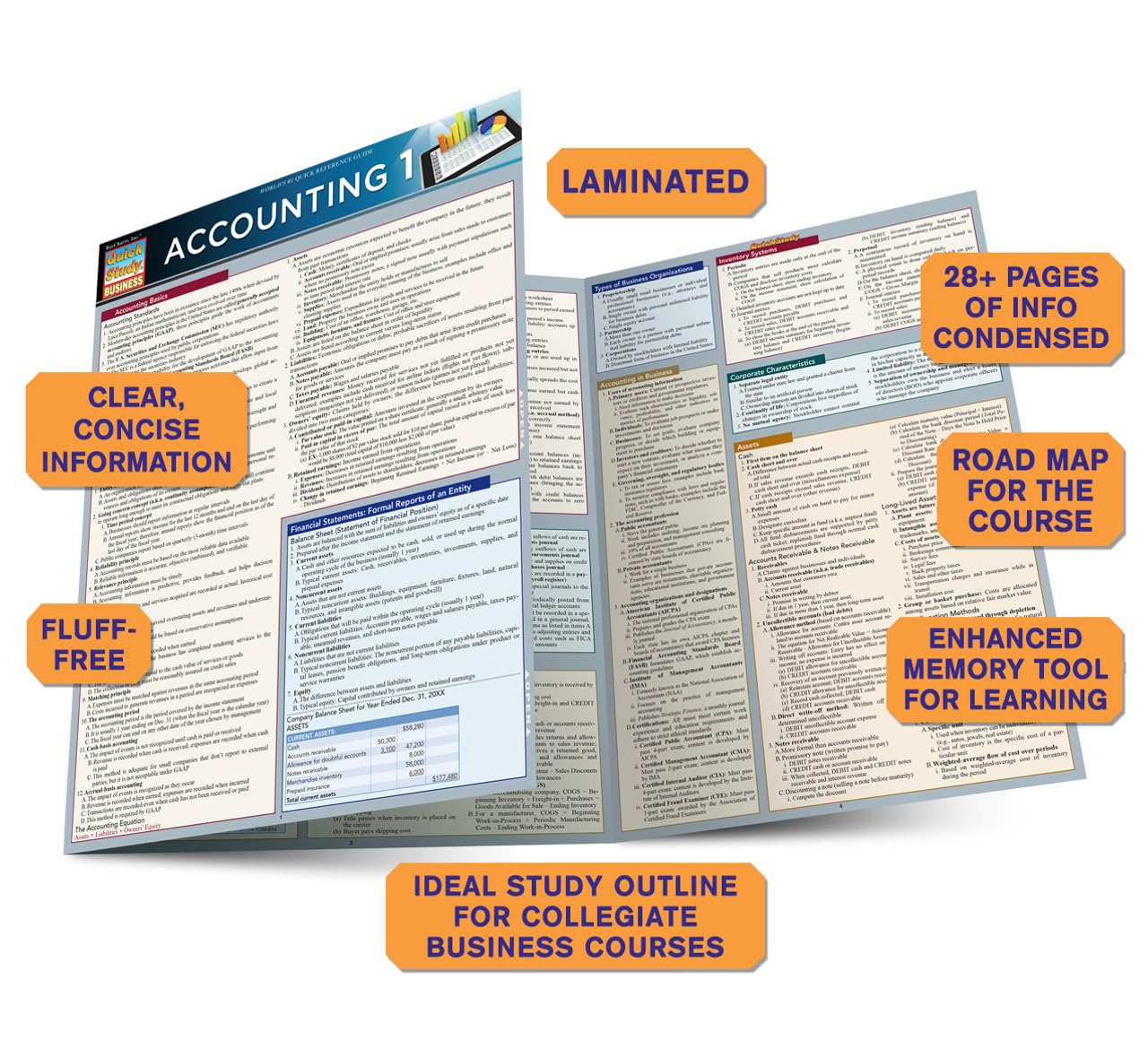 Accounting 1 QuickStudy Laminated Reference Guide (QuickStudy Business)