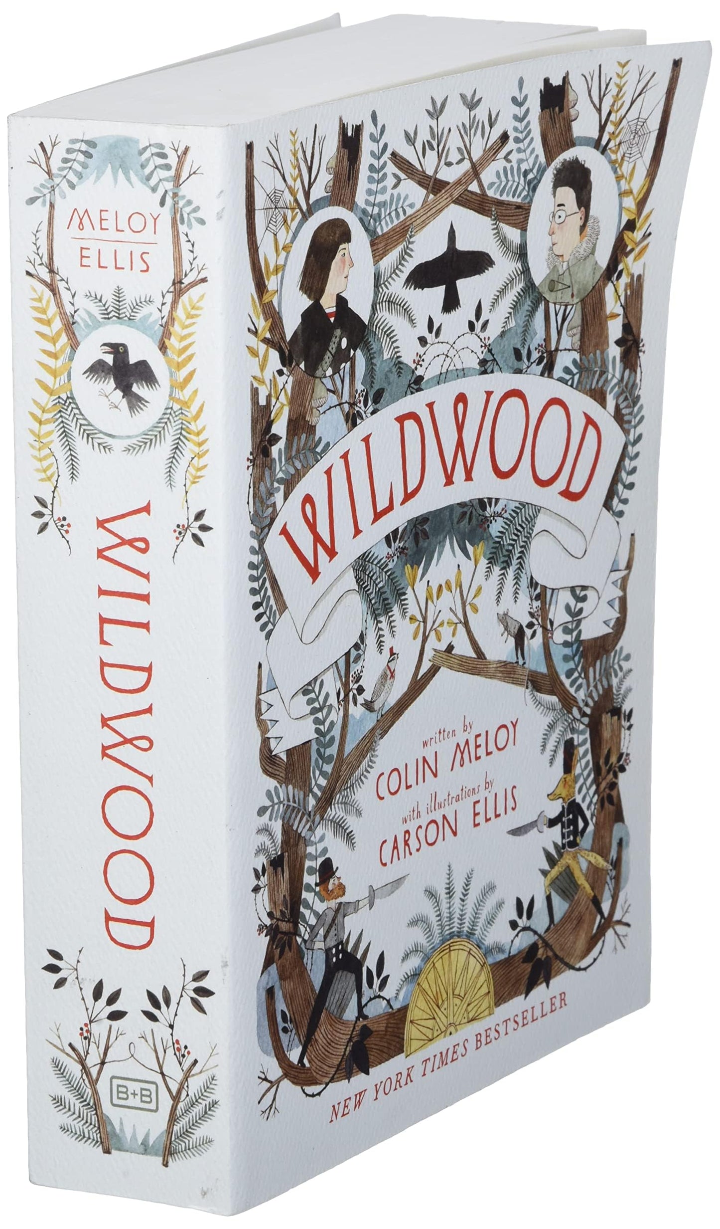 Wildwood (Wildwood Chronicles, 1)