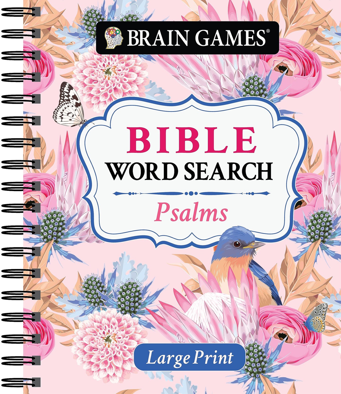 Brain Games - Large Print Bible Word Search: Psalms