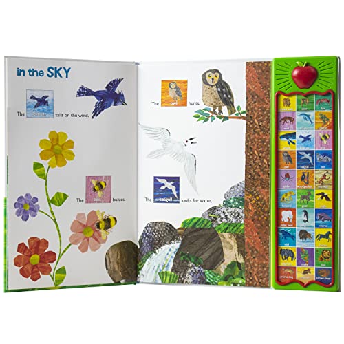 World of Eric Carle, Hear Bear Roar 30-Button Animal Sound Book - Great for Firs