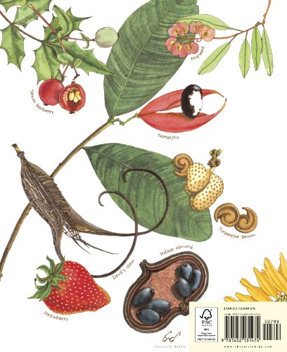 A Seed Is Sleepy: (Nature Books for Kids, Environmental Science for Kids) (Sylvi