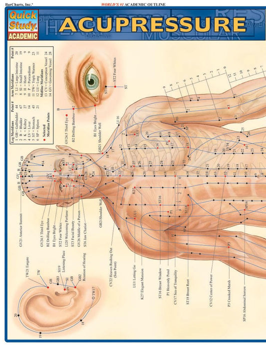 Acupressure Laminated Reference Guide (QuickStudy Academic)