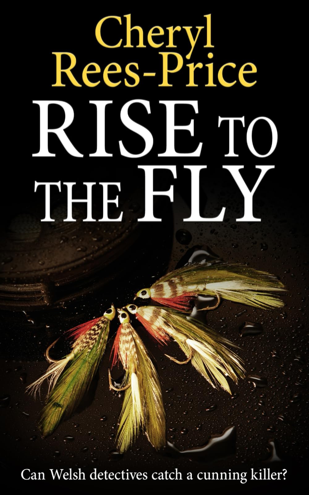 Rise to the Fly: Can Welsh detectives catch a cunning killer?