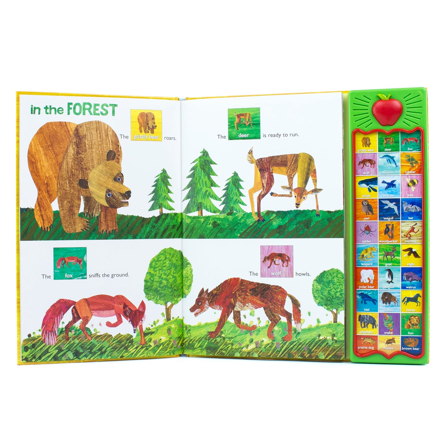 World of Eric Carle, Hear Bear Roar 30-Button Animal Sound Book - Great for Firs