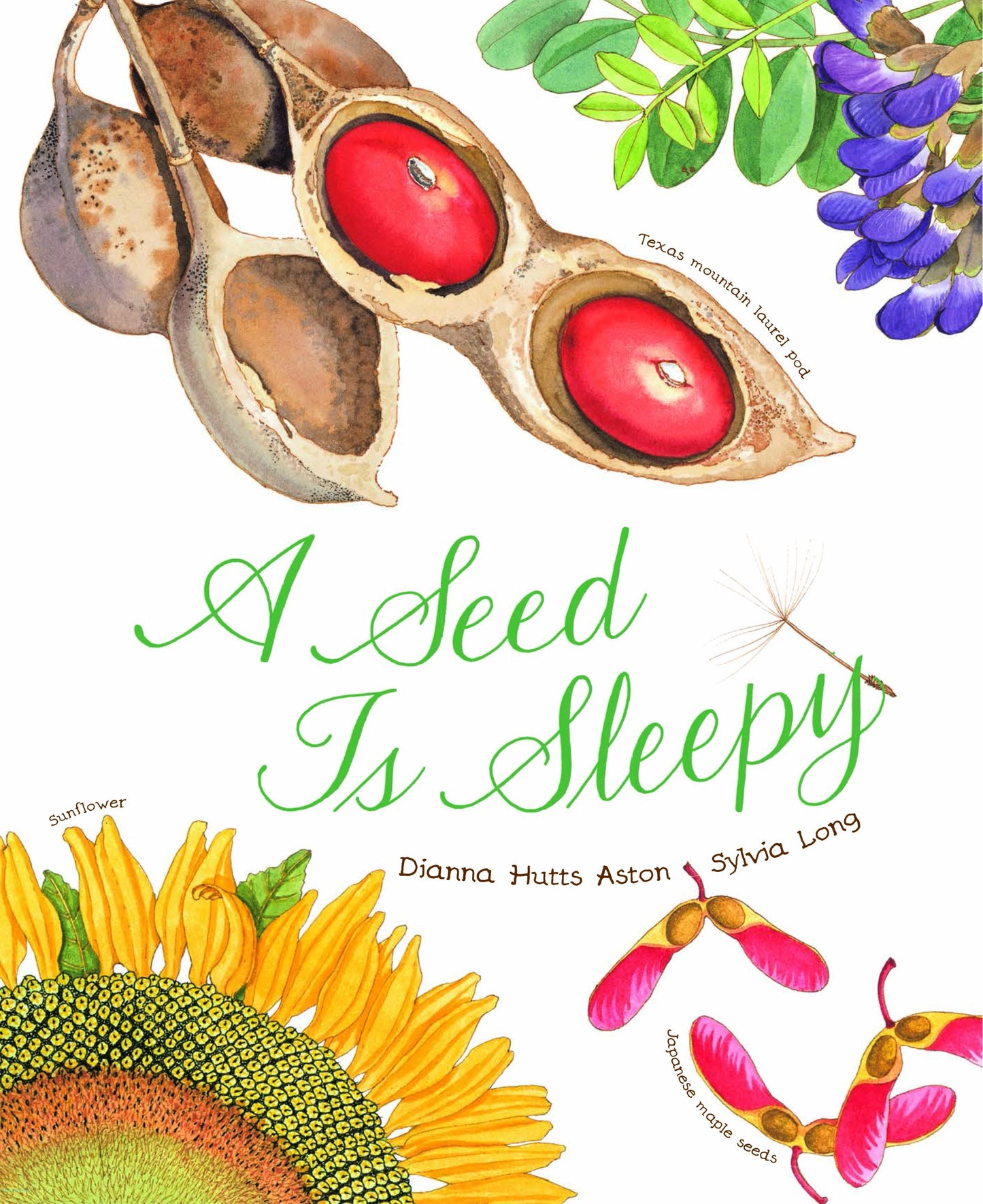 A Seed Is Sleepy: (Nature Books for Kids, Environmental Science for Kids)