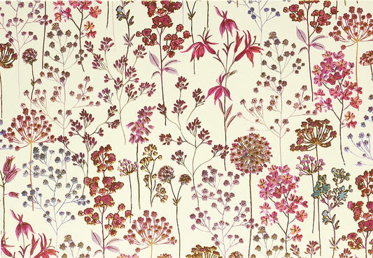 Wildflower Meadow Note Cards (Stationery, Boxed Cards)