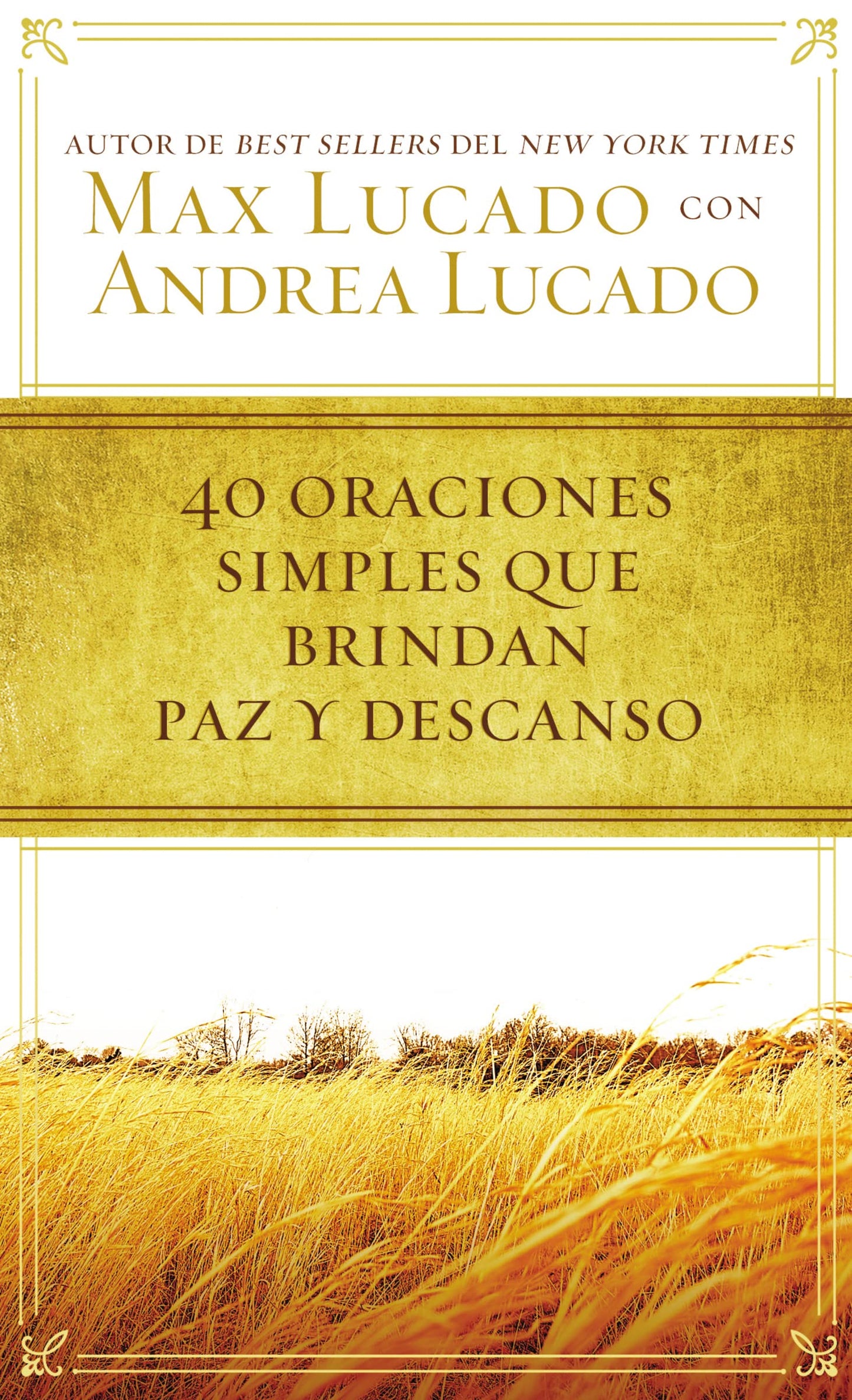 40 Oraciones Sencillas Que Traen Paz Y Descanso